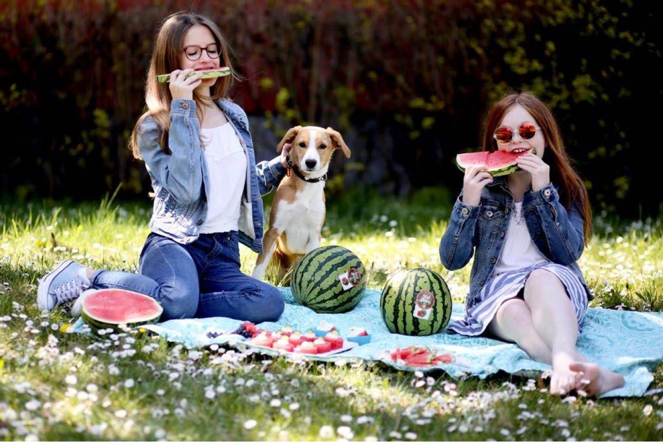 Osvěžení s prvními teplými dny: bezpeckové melouny Bouquet jako ideální volba