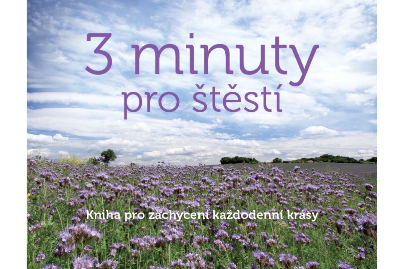 3 minuty pro štěstí - Kniha pro zachycení každodenní krásy